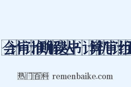 会计审计准则解读丛书·计算机审计组词是什么意思的图片